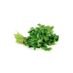 CILANTRO